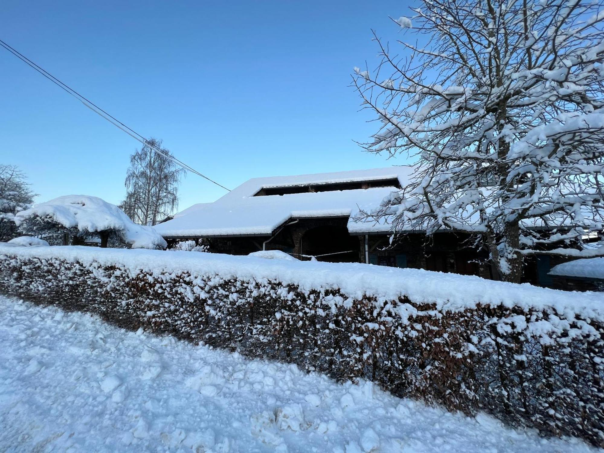 Le Teli Du Loup Dans La Taniere D'Armand Villa Stavelot Esterno foto